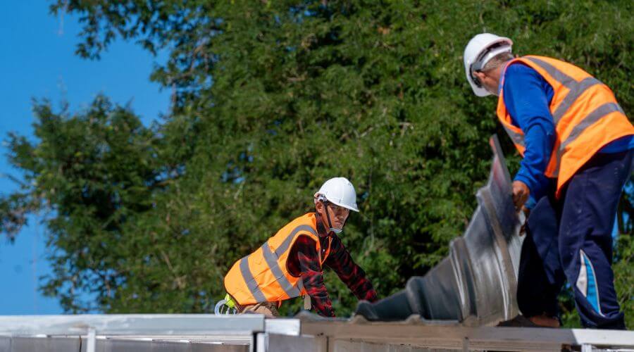 Professional gutter cleaning in Hiltons, VA